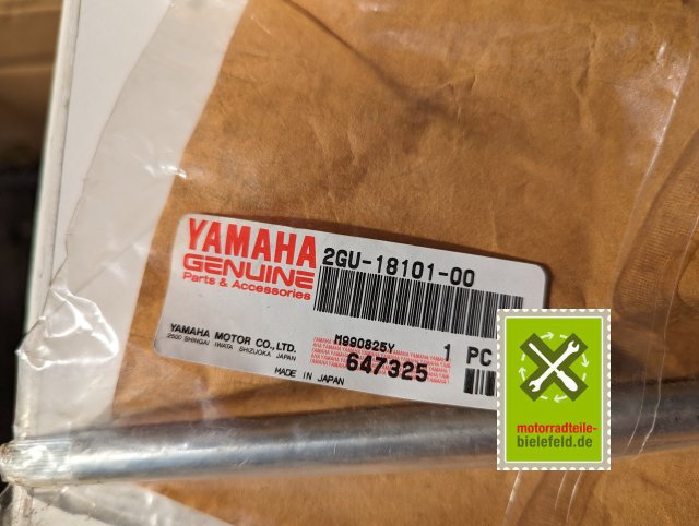 PXL_20240528_153053390